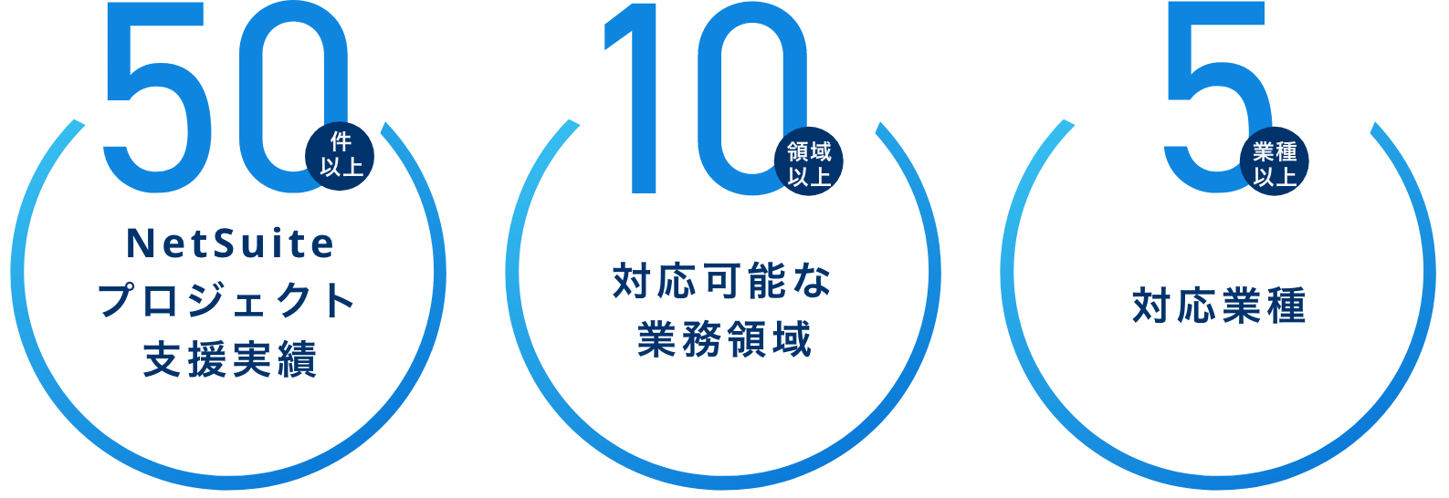 幅広い業種の支援実績インフォグラフ